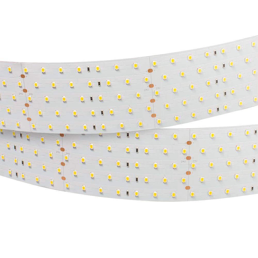 Arlight 019080 Лента RT 2-2500 24V Warm2700 5x2 (2835, 875 LED, LUX) Arlight 019080 Лента RT 2-2500 24V Warm2700 5x2 (2835, 875 LED, LUX)