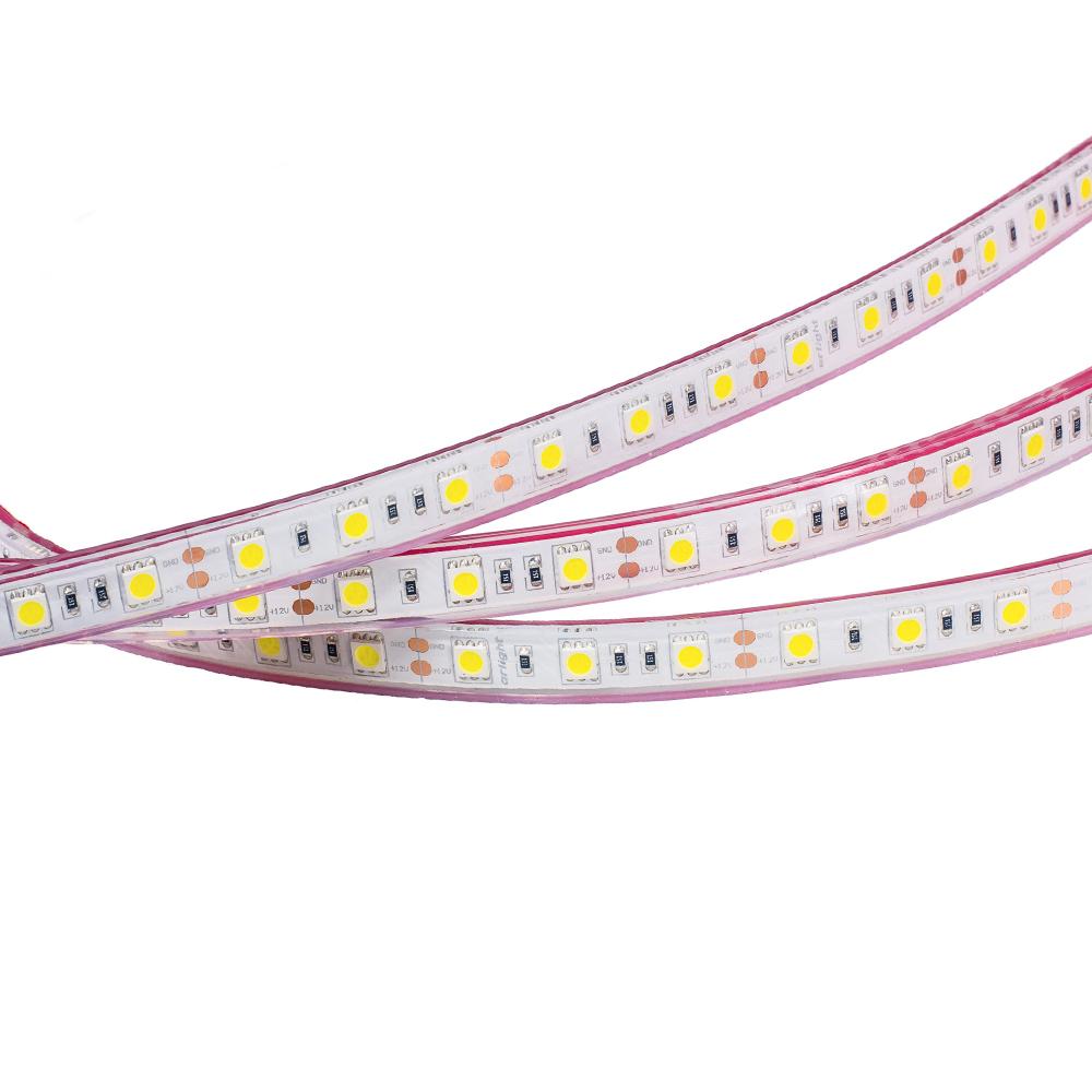 Arlight 012389 Лента RTW 2-5000PGS 12V White 2x (5060, 300 LED, LUX)