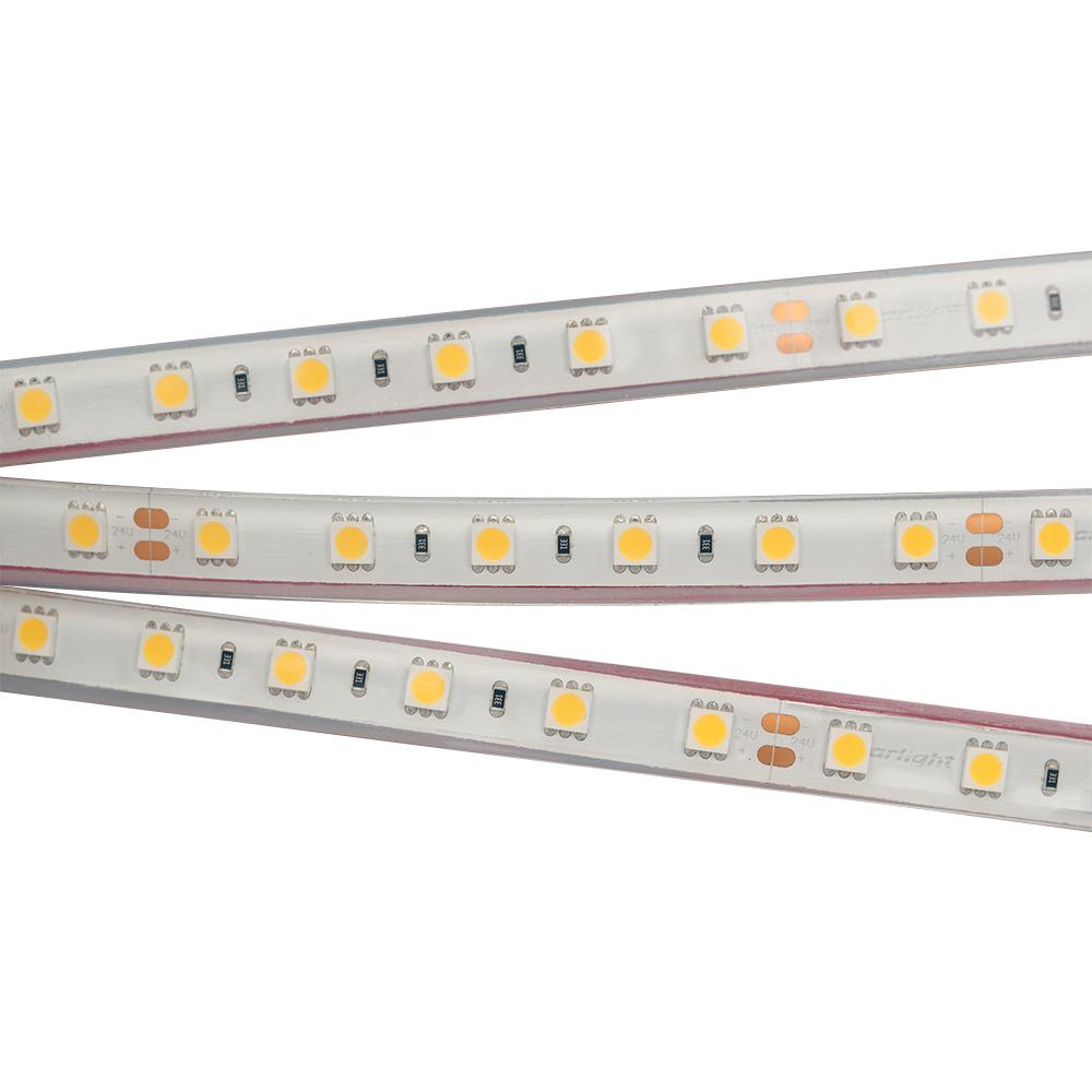 Arlight 013584 Лента RTW 2-5000PGS 24V White 2x (5060, 300 LED, LUX)