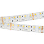 Иконка Arlight 011823 Лента RT 2-5000 24V RGB-White 2x2 (5060, 720 LED, LUX)