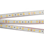 Иконка Arlight 013584 Лента RTW 2-5000PGS 24V White 2x (5060, 300 LED, LUX)